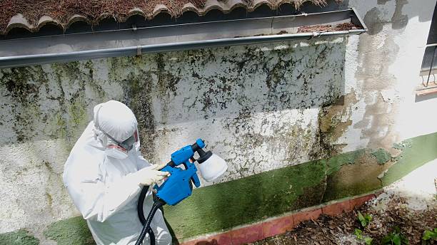 Trusted Mold Testing service in Dublin, GA - Cheap Mold Removal